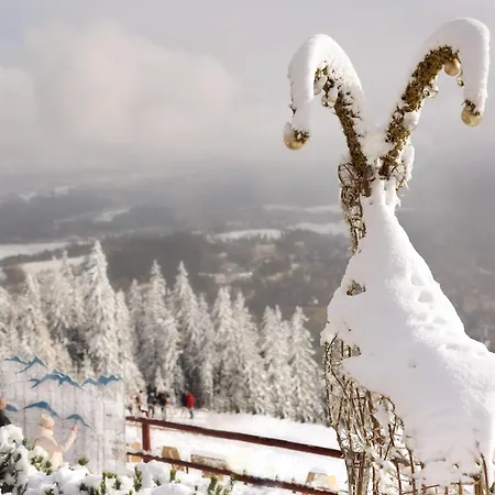 Wygrodzisko Zakopane