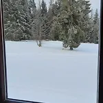 Проживание в семье Wygrodzisko